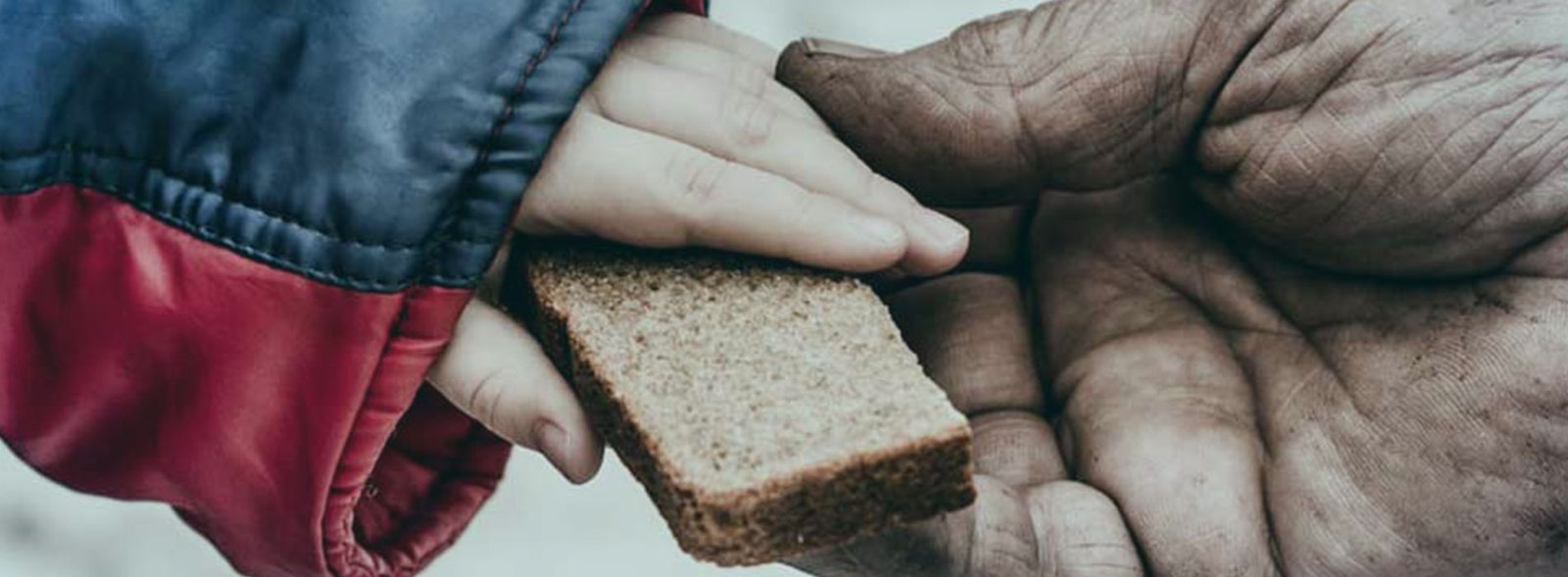 Gönüllüler ve çocuklar